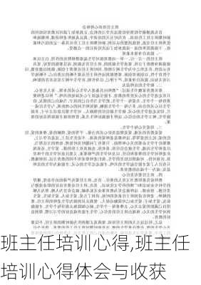 班主任培训心得,班主任培训心得体会与收获-第2张图片-二喜范文网