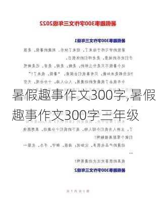 暑假趣事作文300字,暑假趣事作文300字三年级