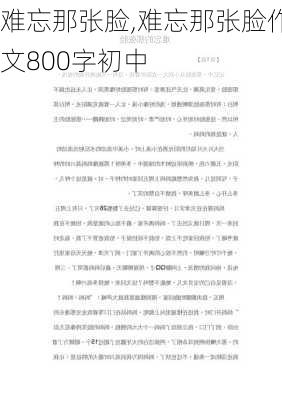 难忘那张脸,难忘那张脸作文800字初中