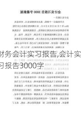 财务会计实习报告,会计实习报告3000字-第1张图片-二喜范文网