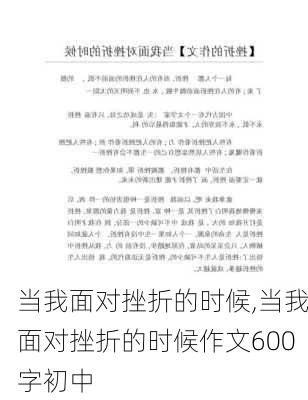 当我面对挫折的时候,当我面对挫折的时候作文600字初中-第2张图片-二喜范文网