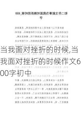 当我面对挫折的时候,当我面对挫折的时候作文600字初中-第3张图片-二喜范文网