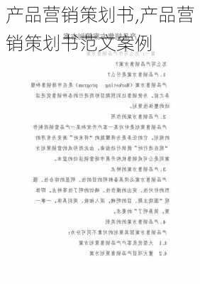 产品营销策划书,产品营销策划书范文案例-第2张图片-二喜范文网