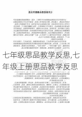 七年级思品教学反思,七年级上册思品教学反思-第2张图片-二喜范文网