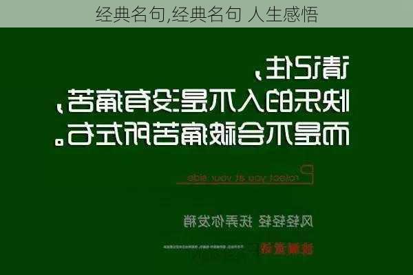 经典名句,经典名句 人生感悟-第1张图片-二喜范文网