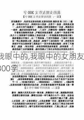 我眼中的,我眼中的女朋友300字-第3张图片-二喜范文网