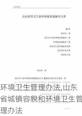 环境卫生管理办法,山东省城镇容貌和环境卫生管理办法-第2张图片-二喜范文网