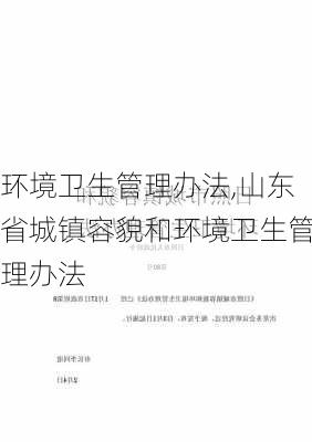 环境卫生管理办法,山东省城镇容貌和环境卫生管理办法-第3张图片-二喜范文网