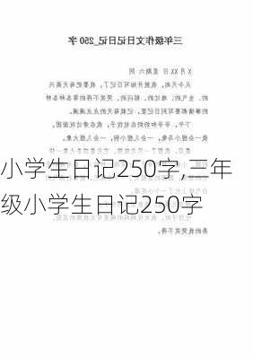 小学生日记250字,三年级小学生日记250字