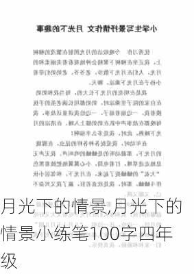 月光下的情景,月光下的情景小练笔100字四年级-第3张图片-二喜范文网