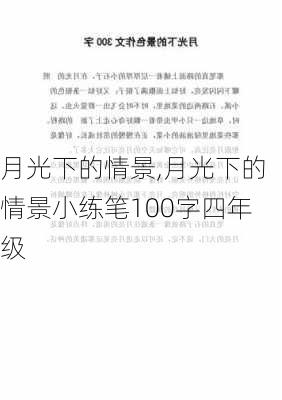 月光下的情景,月光下的情景小练笔100字四年级