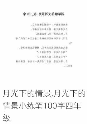 月光下的情景,月光下的情景小练笔100字四年级-第2张图片-二喜范文网