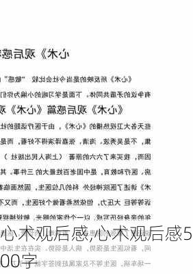 心术观后感,心术观后感500字-第2张图片-二喜范文网