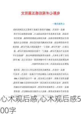 心术观后感,心术观后感500字-第3张图片-二喜范文网