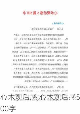 心术观后感,心术观后感500字-第1张图片-二喜范文网