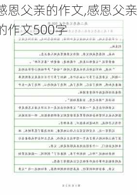 感恩父亲的作文,感恩父亲的作文500字-第2张图片-二喜范文网