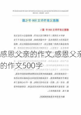 感恩父亲的作文,感恩父亲的作文500字