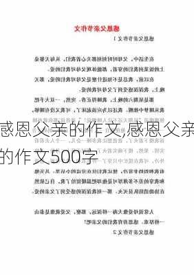 感恩父亲的作文,感恩父亲的作文500字-第3张图片-二喜范文网