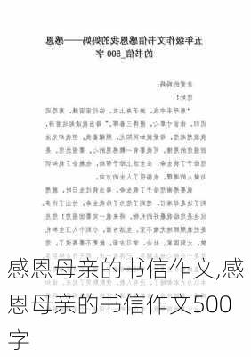 感恩母亲的书信作文,感恩母亲的书信作文500字-第3张图片-二喜范文网