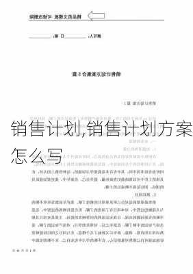 销售计划,销售计划方案怎么写-第2张图片-二喜范文网