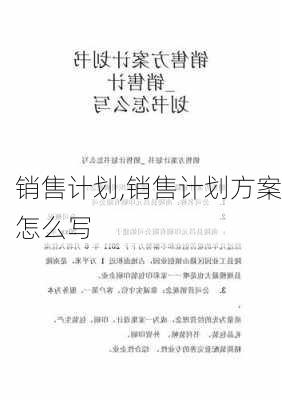 销售计划,销售计划方案怎么写-第3张图片-二喜范文网