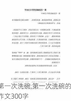 第一次洗碗,第一次洗碗的作文300字-第1张图片-二喜范文网