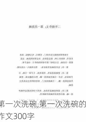 第一次洗碗,第一次洗碗的作文300字-第3张图片-二喜范文网