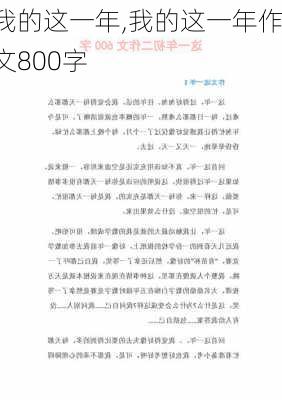 我的这一年,我的这一年作文800字-第3张图片-二喜范文网