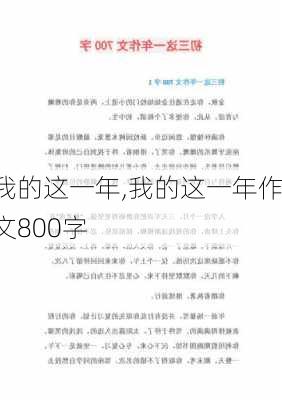 我的这一年,我的这一年作文800字-第2张图片-二喜范文网