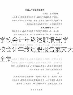 学校会计年终述职报告,学校会计年终述职报告范文大全集-第3张图片-二喜范文网