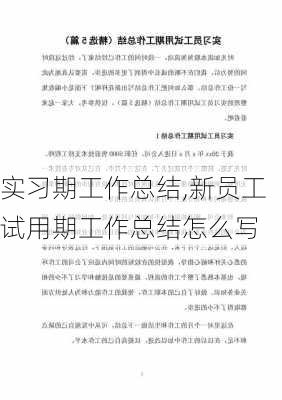 实习期工作总结,新员工试用期工作总结怎么写-第1张图片-二喜范文网