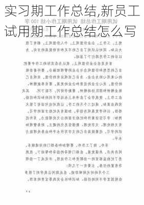 实习期工作总结,新员工试用期工作总结怎么写-第3张图片-二喜范文网