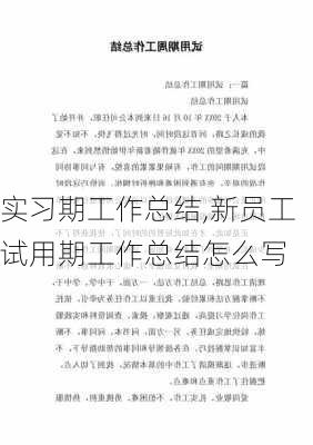 实习期工作总结,新员工试用期工作总结怎么写-第2张图片-二喜范文网