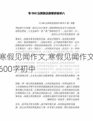 寒假见闻作文,寒假见闻作文600字初中-第3张图片-二喜范文网