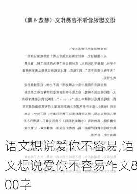 语文想说爱你不容易,语文想说爱你不容易作文800字