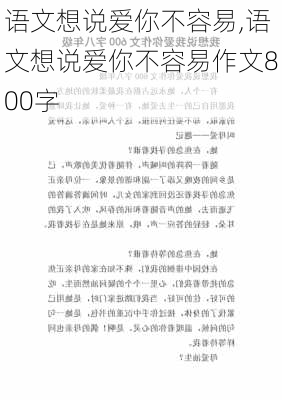 语文想说爱你不容易,语文想说爱你不容易作文800字-第3张图片-二喜范文网