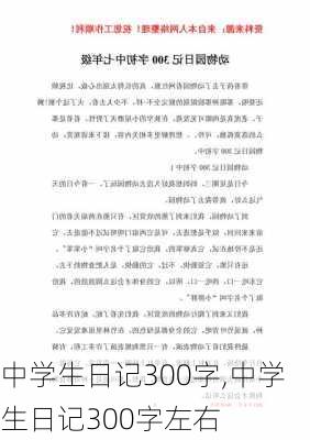 中学生日记300字,中学生日记300字左右-第2张图片-二喜范文网