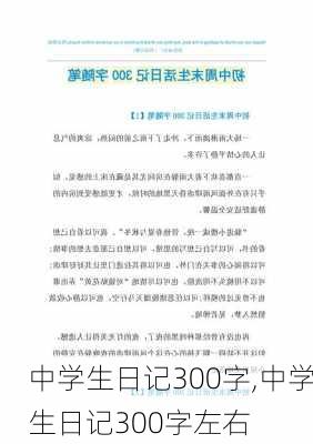 中学生日记300字,中学生日记300字左右-第3张图片-二喜范文网