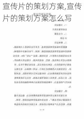 宣传片的策划方案,宣传片的策划方案怎么写-第3张图片-二喜范文网