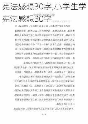 宪法感想30字,小学生学宪法感想30字-第3张图片-二喜范文网