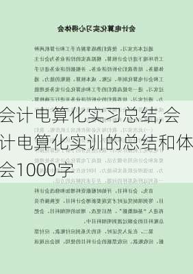 会计电算化实习总结,会计电算化实训的总结和体会1000字