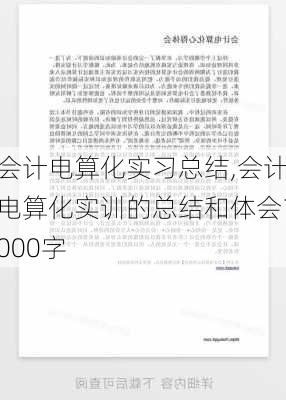 会计电算化实习总结,会计电算化实训的总结和体会1000字-第3张图片-二喜范文网