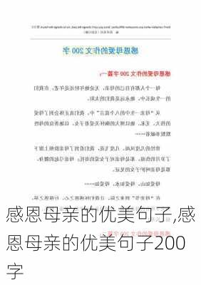 感恩母亲的优美句子,感恩母亲的优美句子200字