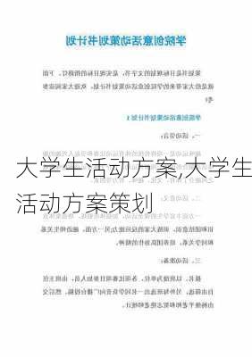 大学生活动方案,大学生活动方案策划-第1张图片-二喜范文网