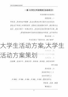 大学生活动方案,大学生活动方案策划-第3张图片-二喜范文网