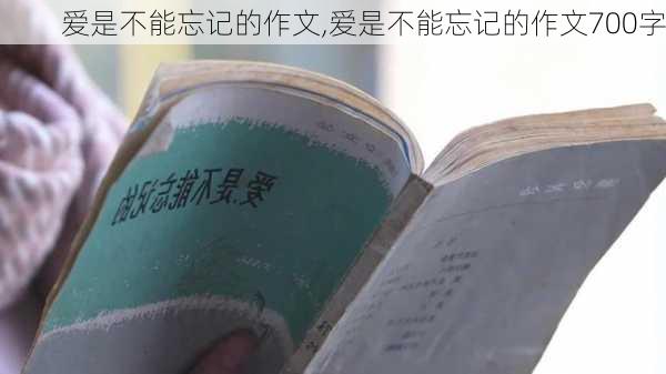 爱是不能忘记的作文,爱是不能忘记的作文700字-第1张图片-二喜范文网