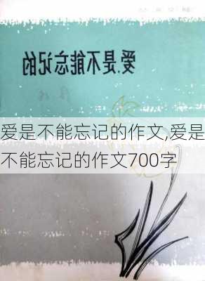 爱是不能忘记的作文,爱是不能忘记的作文700字-第3张图片-二喜范文网