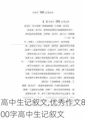 高中生记叙文,优秀作文800字高中生记叙文-第3张图片-二喜范文网