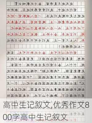 高中生记叙文,优秀作文800字高中生记叙文-第2张图片-二喜范文网