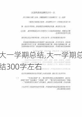 大一学期总结,大一学期总结300字左右-第2张图片-二喜范文网